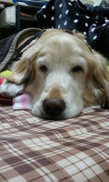 2012-12-09 01.41.16.jpg