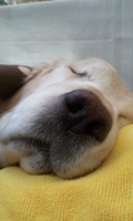 2012-12-10 12.13.22.jpg