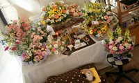 2012-12-11 13.34.27.jpg