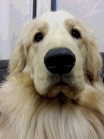 20140313_102533.jpg
