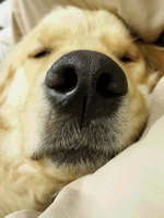 20140415_235016.jpg