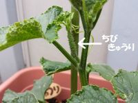 20140527_150854.jpg