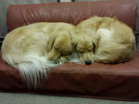 20150924_233405.jpg