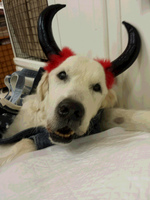 20150926_154537.jpg