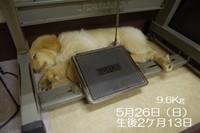 5月26日.jpg
