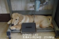 8月6日.jpg