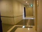 CIMG0152.jpg
