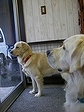 CIMG0153.jpg