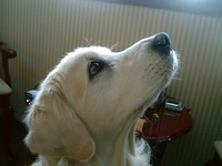 DSCF0425.jpg