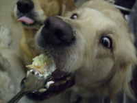 DSCF0739.jpg