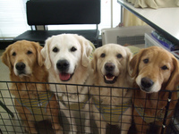 DSCF2407.jpg