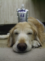 DSCF6206.jpg