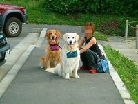写真5 036a.jpg