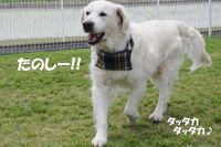 IMGP0654.jpg