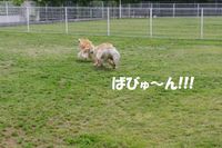 IMGP0657.jpg