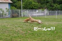 IMGP0658.jpg