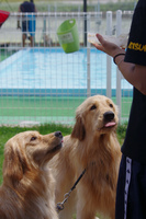 IMGP0915.jpg