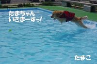 IMGP0945.jpg