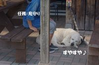 IMGP0972.jpg