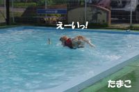 IMGP1077.jpg