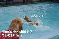 IMGP1130.jpg
