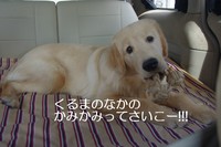 IMGP8064.jpg