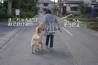 IMGP8092.jpg