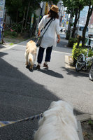 IMG_2577.jpg