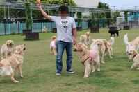 IMG_2697.jpg
