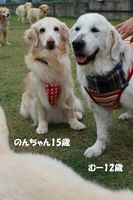 IMG_2743.jpg