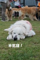 IMG_2765.jpg