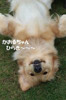 IMG_2779.jpg