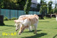IMG_2830.jpg