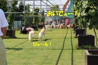IMG_2834.jpg