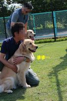 IMG_2874.jpg