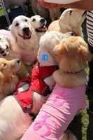 IMG_2911.jpg