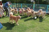 IMG_2963.jpg