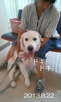 1377133814740.jpg