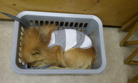 2012-05-11 20.18.14.jpg
