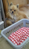 2012-05-12 16.50.16.jpg
