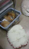 2012-05-12 19.00.29.jpg
