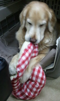 2012-05-12 19.43.39.jpg