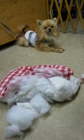 2012-05-12 19.52.17.jpg