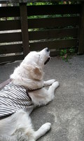 2012-05-13 14.08.50.jpg