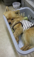 2012-05-13 19.40.54.jpg