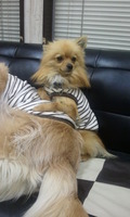 2012-05-13 19.53.05.jpg