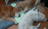 2012-07-27 01.58.56.jpg