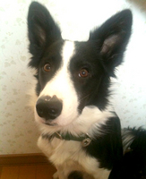 20120402082232b78.jpg