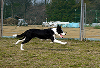 20120402082232e9d.jpg