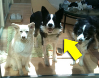 20120402082233de6.jpg